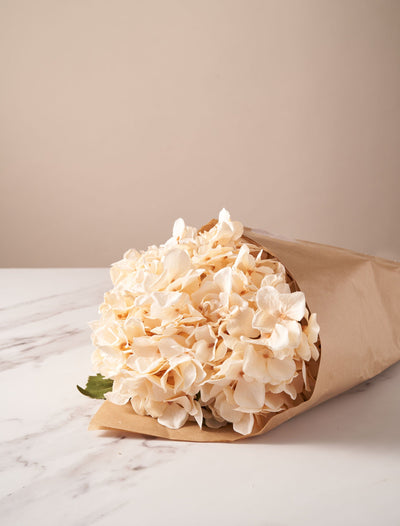 Faux Hydrangea Bouquet - Cream