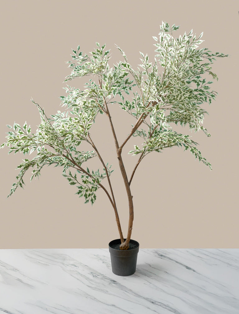 Faux Fiscus Anastasia Tree