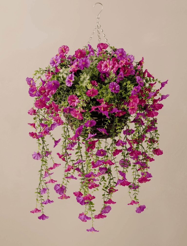Outdoor Hanging Petunia Basket - Purple