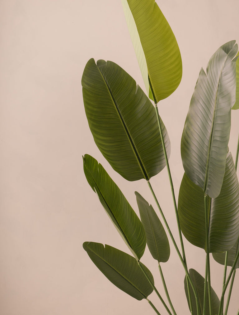 Faux Outdoor Birds Of Paradise Tree (Indoor or Outdoor) 180cm / 5ft 11in