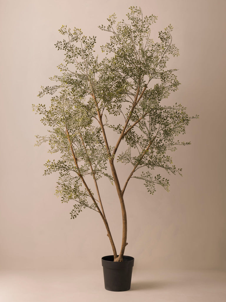 Faux Ruscus Tree (Indoor or Outdoor)