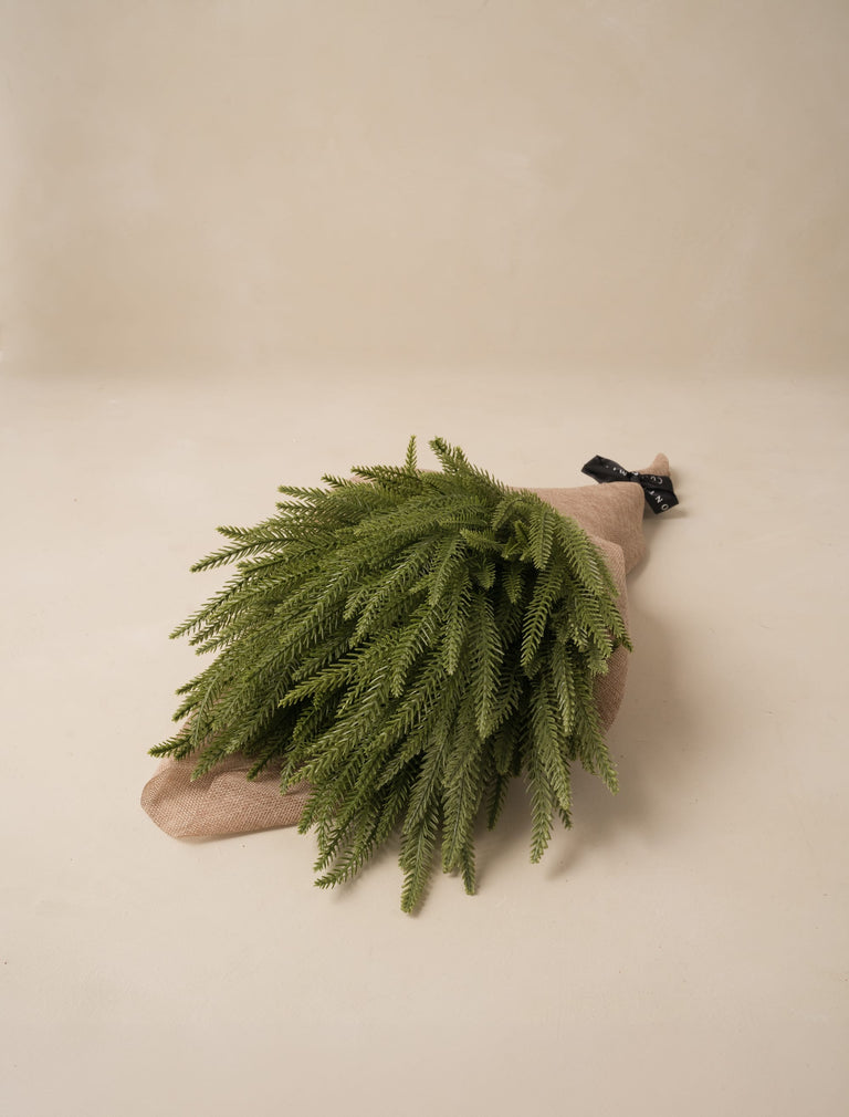 Faux Norfolk Pine (5 Stems)