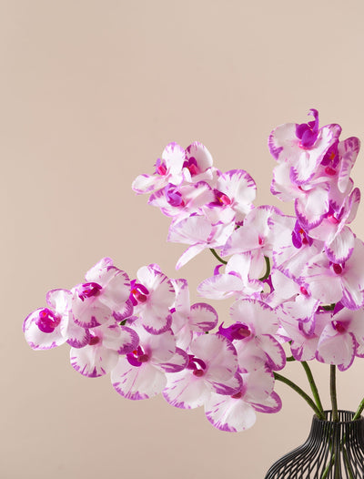 Faux Orchid - Freckled Pink (4 stems)