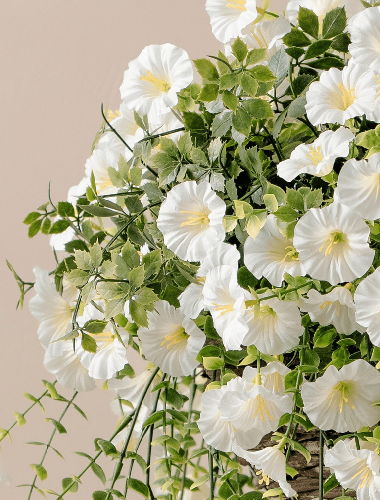 Outdoor Hanging Petunia Basket - White